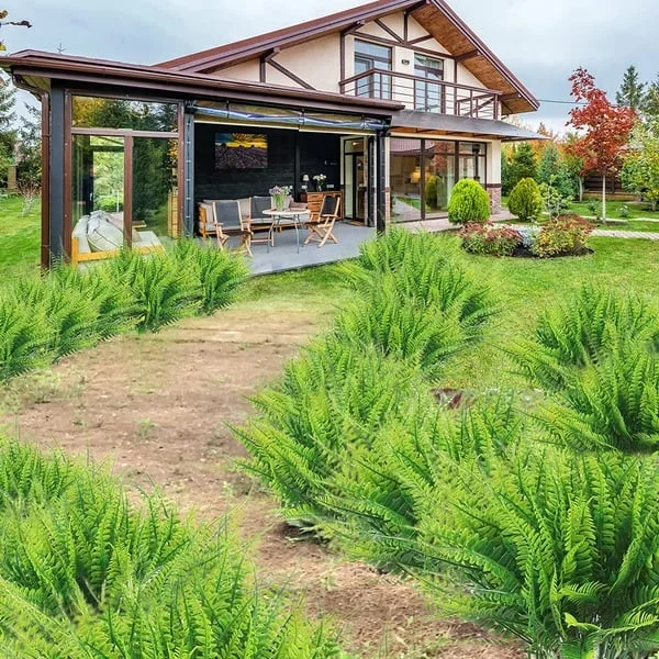 Artificial Decorative Fern – Realistic Look and Long Lasting