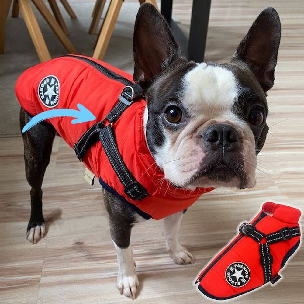 Vandtæt Parka til Hund - Beskyttelse & Stil