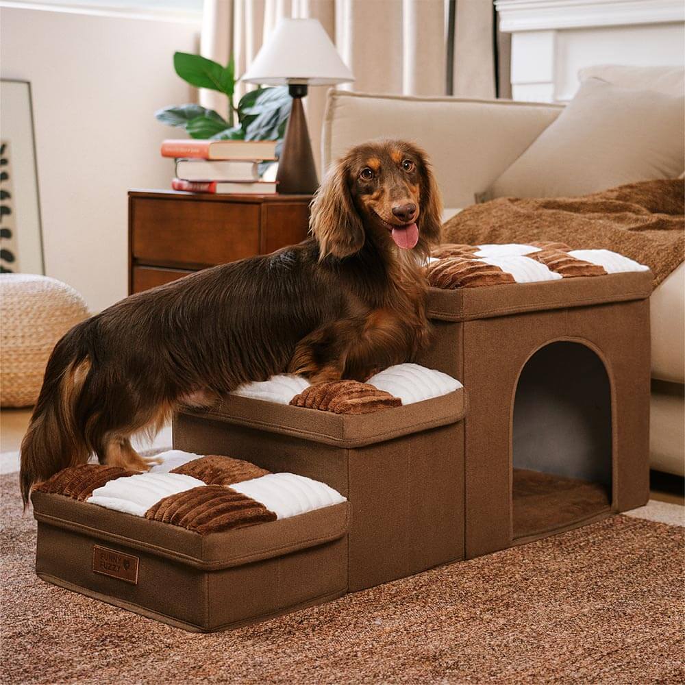 Scala Per Animali Domestici – Accesso Facile e Sicuro