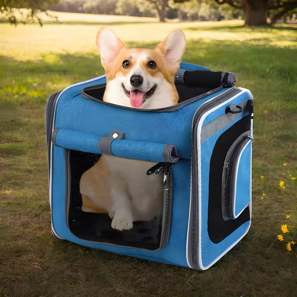 Utvidbar sykkelkurv for dyr – Praktisk og komfortabel