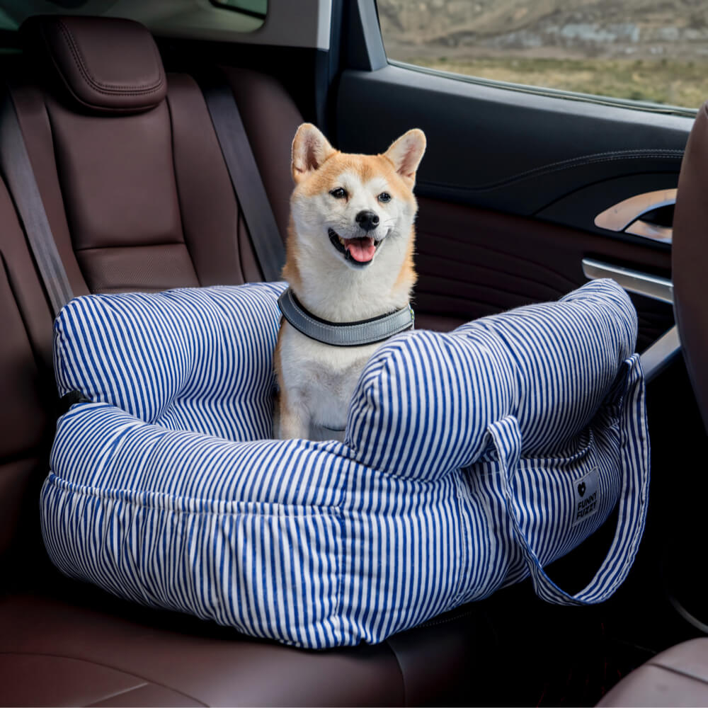 Dog Car Seat – Comfort and Safety While Traveling