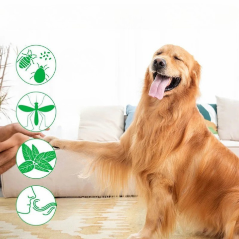 Természetes Hosszú Hatású Kártevőirtó Spray — Hatékony Védelem Naponta