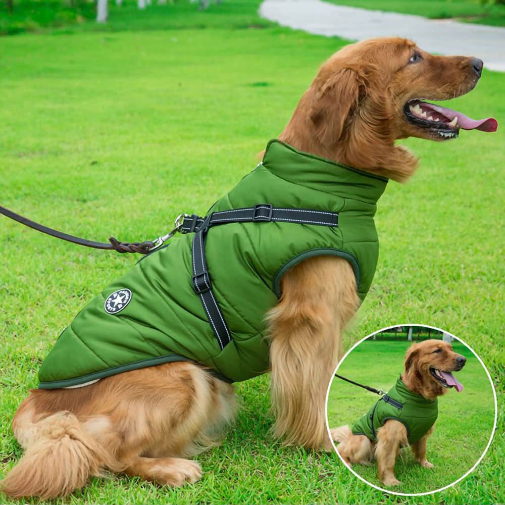 Vandtæt Parka til Hund - Beskyttelse & Stil