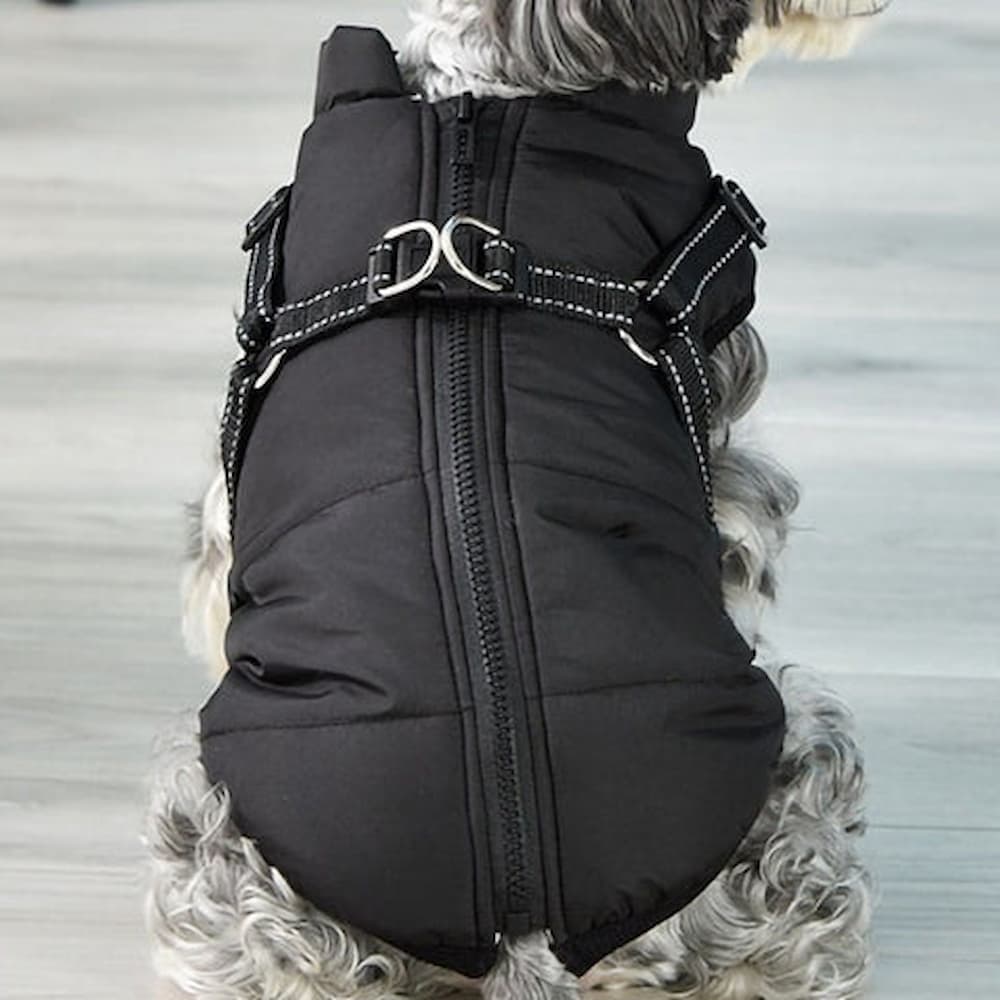 Vandtæt Parka til Hund - Beskyttelse & Stil