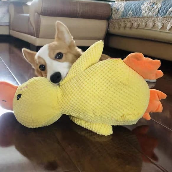 Jouet Canard Apaisant Pour Chien – Compagnon De Jeu Et De Détente