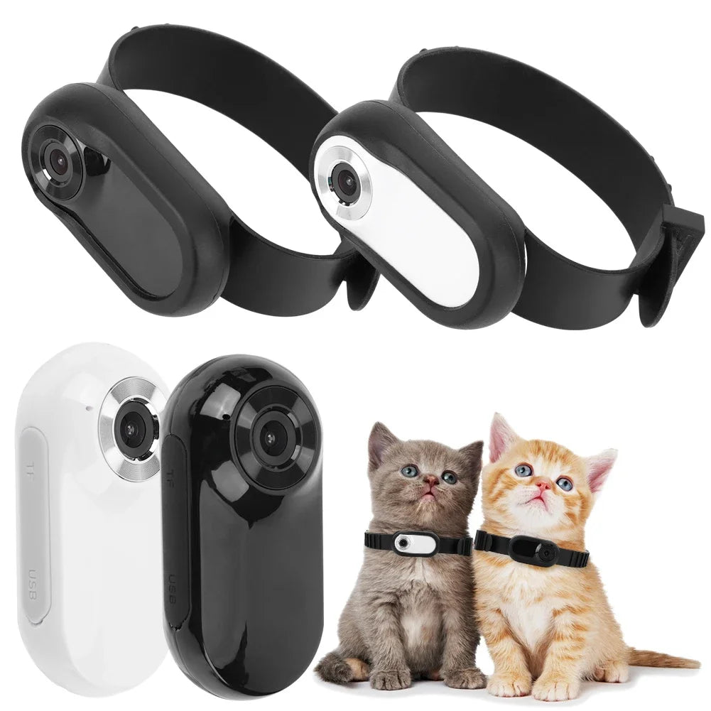 Mini Kamera Halsband Für Hund Und Katze - Immersive & HD Vision