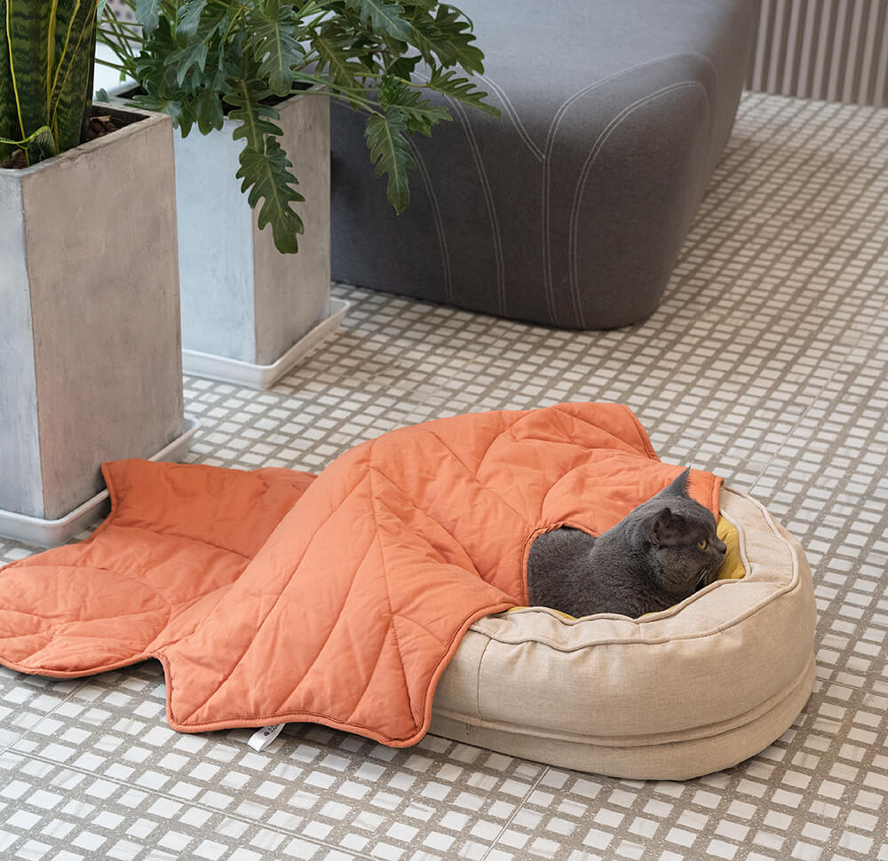 Lit En Forme De Beignet Pour Chien – Confort Et Douceur