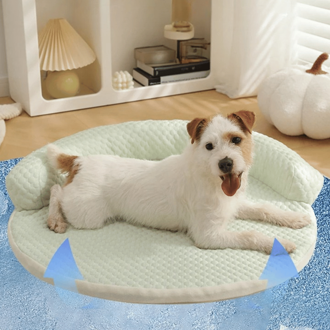 Round Refreshing Carpet – With Raised Resting Area 