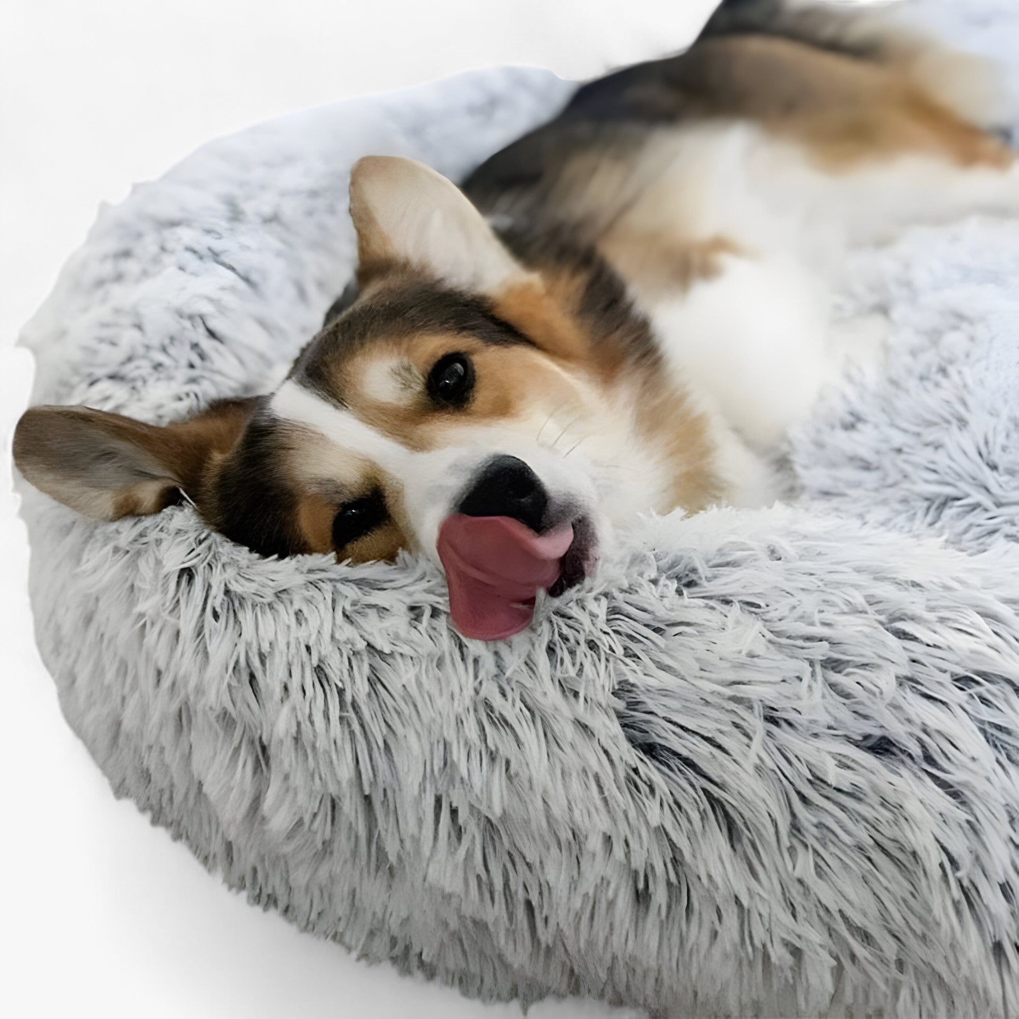 سرير مريح للحيوانات – راحة دافئة ونوم مصلح 