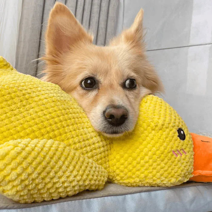犬用おもちゃアヒル – 遊びとリラックスの相棒 