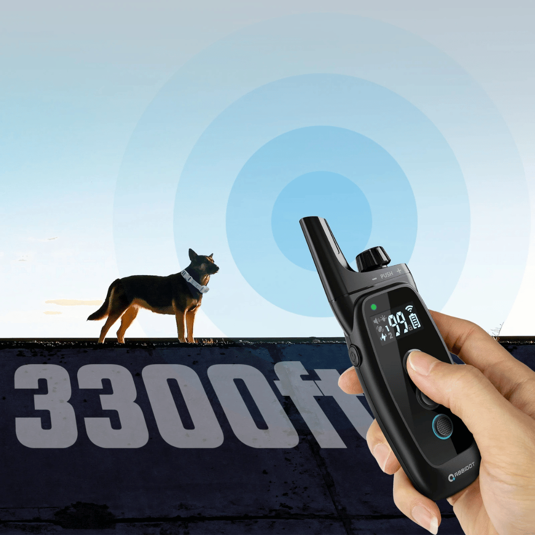 Halsband voor Honden - LED Afstandsbediening en Bereik 1000 m 