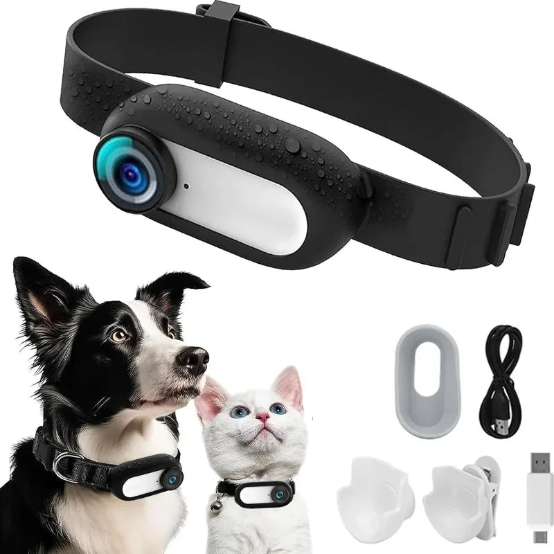 Mini Kamera Halsband Für Hund Und Katze - Immersive & HD Vision