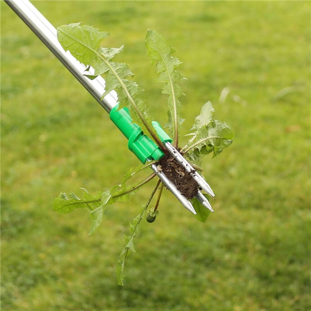 Extracteur De Mauvaises Herbes – Élimination Facile En Position Debout