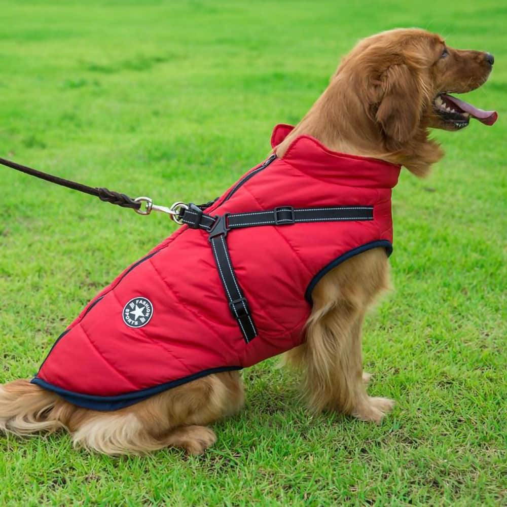 Parka Impermeabile Per Cani - Protezione & Stile 