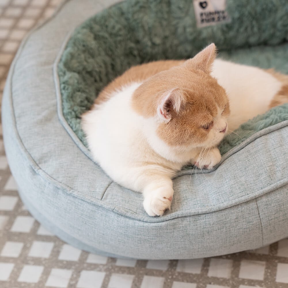 Letto a forma di ciambella per cani – Comfort e dolcezza 