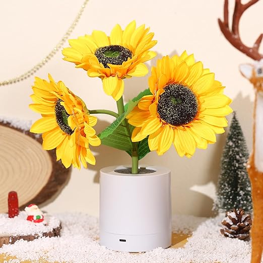 USB wiederaufladbare LED Tischlampe – originelle und elegante Beleuchtung 