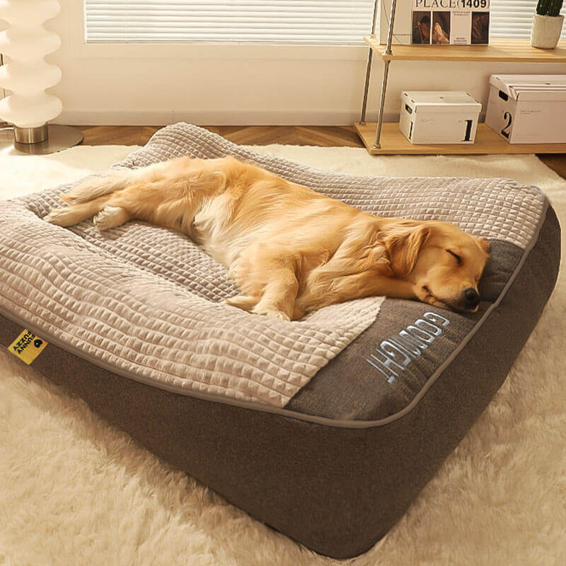 Cojín Para Perro Resistente A Los Arañazos Con Protección Dorsal – Confort Y Durabilidad 