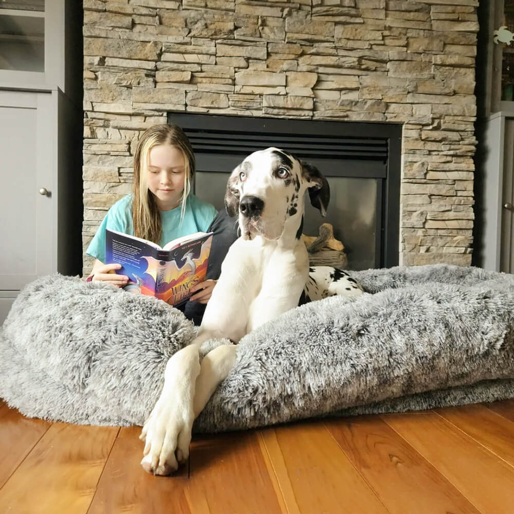 Lit En Forme De Beignet Pour Chien – Confort Et Douceur