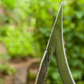 Zappa da Giardino – Strumento Preciso per un Lavoro Senza Sforzo 