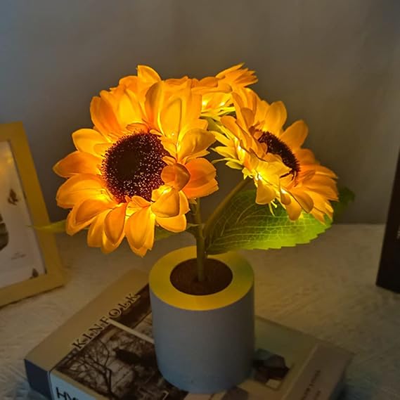 Lampada da Tavolo LED Ricaricabile USB – Illuminazione Originale ed Elegante 