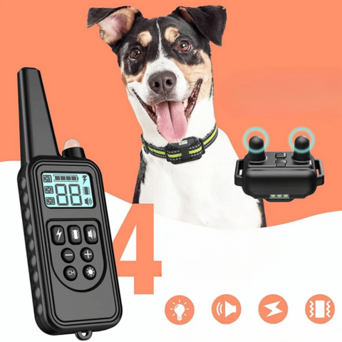Collar de adiestramiento remoto – Alcance 800 m, impermeable y recargable 