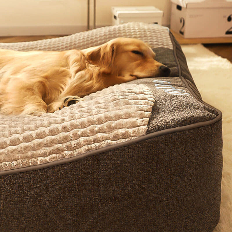 Cojín Para Perro Resistente A Los Arañazos Con Protección Dorsal – Confort Y Durabilidad 