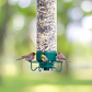 Mangeoire À Oiseaux Suspendue – Protection Anti-Écureuil Et Remplissage Facile