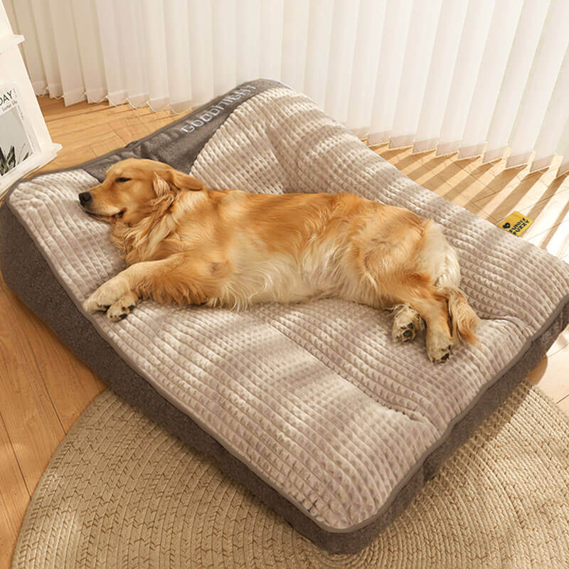 Cojín Para Perro Resistente A Los Arañazos Con Protección Dorsal – Confort Y Durabilidad 