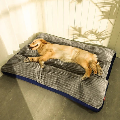Hundeseng Komfort – Optimal støtte og fredelig hvile 