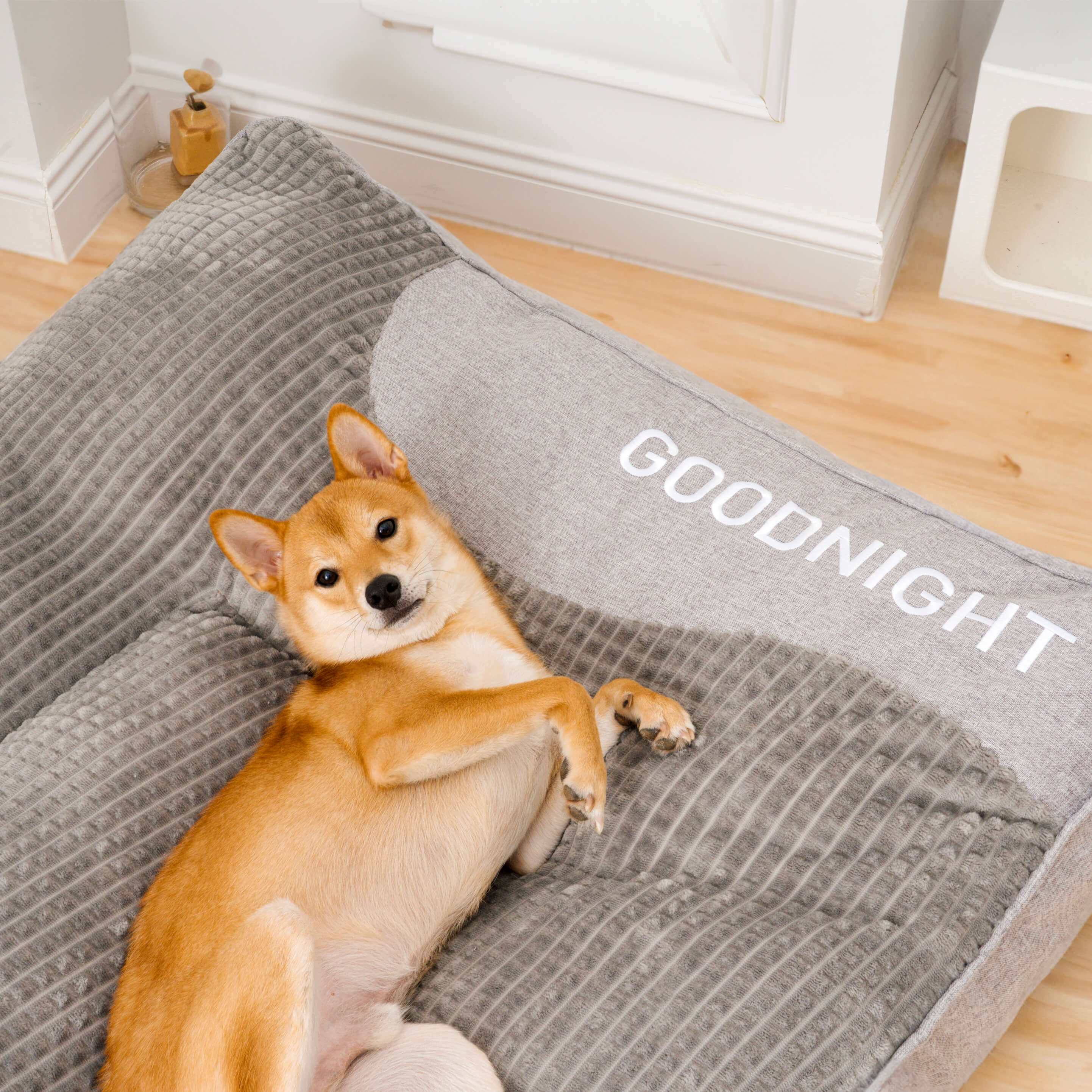Cojín Para Perro Resistente A Los Arañazos Con Protección Dorsal – Confort Y Durabilidad 