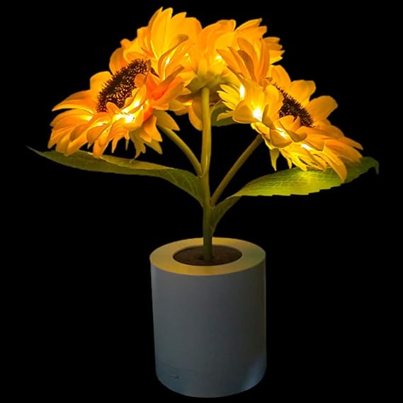 USB wiederaufladbare LED Tischlampe – originelle und elegante Beleuchtung 
